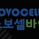 노보셀바이오