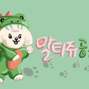 댕댕미용 이미지
