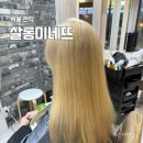 미네뜨 | 낙성대미용실염색 살롱미네뜨 무제한탈색 가격 블랙빼기 백금발 탈색 후기 (기장추가없음)