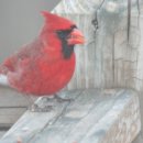 (주)아이온 이미지