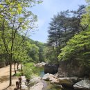 청명식육점 | 문경 나들이~새재할매집,문경새재도립공원 조곡관까지 트레킹,맨발걷기