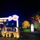 야간도심테마 이미지