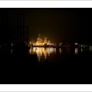 낭만고양이 이미지