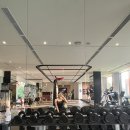 말레이시아 사파리 <얼룩말 잭> | 푸꾸옥2일차 :: 빈펄사파리, 모벤픽수영장, 까미아레스토랑, 즈엉동야시장