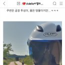 금호천 이미지