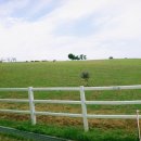 경문목장 이미지