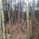 우물가 쉼터 이미지