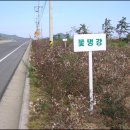 안좌도·팔금도