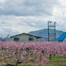 용성주유소 이미지
