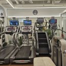 발리휘트니스 이미지