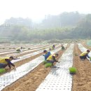 자원순환과 이미지