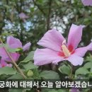 무궁화식품 이미지