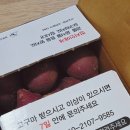 상중 | 김의준 고구마 꿀밤고구마 고구마택배 전자레인지 실리콘찜기