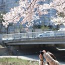 천일장여관 이미지