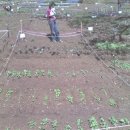 아지네농장 이미지