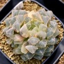 대옥농장 이미지