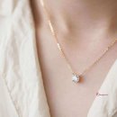 네발친구 이미지