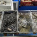 농수산물도매시장 수산동-2 이미지