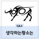 생각하는황소 - 하남시 미사강변대로 212 | 생각하는황소