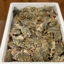 주은미식품 이미지