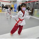 라온제나 태권도 이미지