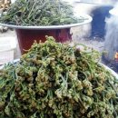 당산농원 이미지