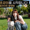외장 후레시.. 이미지