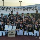 리틀크라운