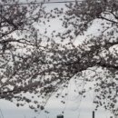 영등동-11 이미지