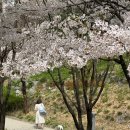 서부공원녹지사업소 화장실 | 4월 서울 가볼만한곳, 산책하기 좋은 공덕 경의선숲길 따라 걷는 힐링 로드