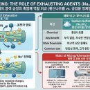 (주)정수약품 네이버블로그