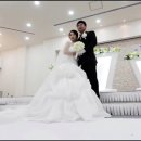 봉암동118 이미지