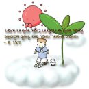 최*연 - 화순군 칠충로 141-7 | 최*연