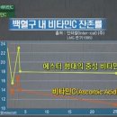 에스터