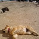 금순이농장 이미지