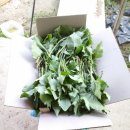 장동길농장 이미지