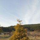 주산목장 이미지