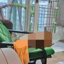 효성상아아파트 이미지