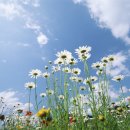 야베스의 집 이미지