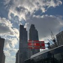 광활농업협동조합 | [중국/칭다오 호텔후기] 웨스틴 칭다오, 주니어 스위트 룸(클럽 층)