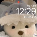 능  실 이미지