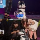 우리아빠약국 이미지