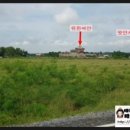 금복주농장 | [파타야관광지---위한씨얀]---[파타야 최고의 현지여행사 라운지투어]