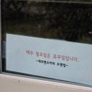 핸즈커피도련점 | 제주 드립커피 내려주는 느좋카페 [핸즈커피]