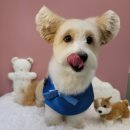 별따줄개 이미지