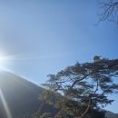 칠봉 송정 캠핑장 | 차박 가능한 원주 캠핑장 🚙 칠봉송정캠핑장 이용후기(애견동반)