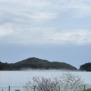 342 | 강릉 캠핑장 342camp에서 제대로 힐링한 후기