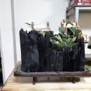 참숯사랑 네이버블로그