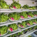 포천떡갈비 이미지