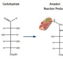 요리요리 이미지